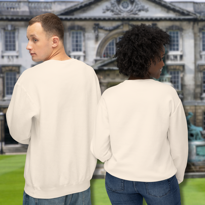Off-white eco-friendly crewneck sweatshirt made from sustainable cotton with ocean design